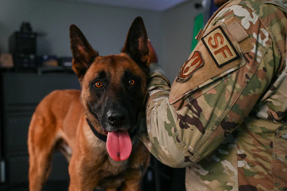 Canine Decontamination Kits